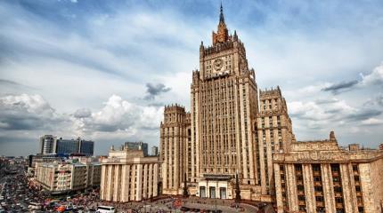 Российский МИД ответил западным СМИ на «тифозную Мэри» и «бультерьера» Российский МИД ответил западным СМИ на «тифозную Мэри» и «бультерьера»
