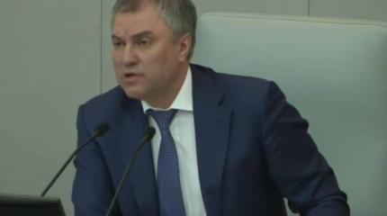 Володин считает, что депутат Алимова использовала мат