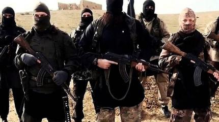 CNN: ИГИЛ проигрывает войну CNN: ИГИЛ проигрывает войну