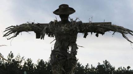 Украина: новогоднее подорожание и огороды под базу НАТО Украина: новогоднее подорожание и огороды под базу НАТО