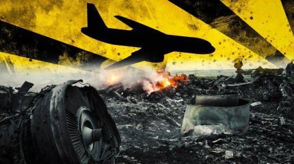 Множество пробелов в деле MH17: защита намерена добиться правды Множество пробелов в деле MH17: защита намерена добиться правды