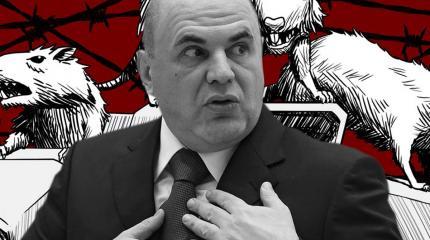 Цифровой спецназ Мишустина: чего ждать стране от премьера и его команды? Цифровой спецназ Мишустина: чего ждать стране от премьера и его команды?