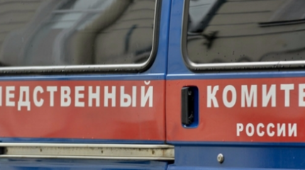 Скандальное выступление националистки на митинге передано на экспертизу Скандальное выступление националистки на митинге передано на экспертизу