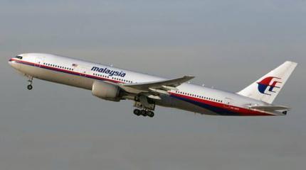 Украина боится, что Россия подкинула голландцам улик по делу сбитого MH17