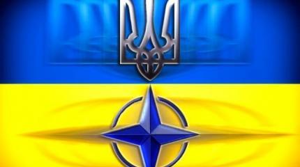 НАТО превратит Украину в «помойку» у российских границ НАТО превратит Украину в «помойку» у российских границ