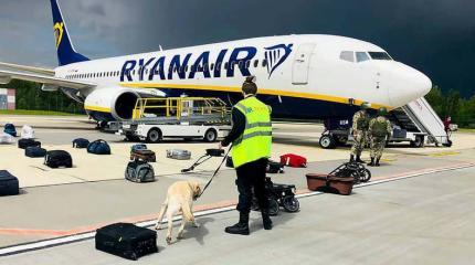Париж нашел вину России в действиях Минска с лайнером Ryanair
