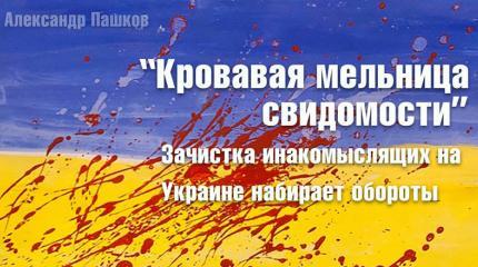 «Кровавая мельница свидомости». Зачистка инакомыслящих на Украине набирает обороты