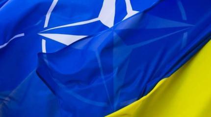 Украине следует найти альтернативу курсу в НАТО Украине следует найти альтернативу курсу в НАТО