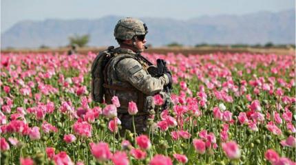 Взгляд патриота: Наркотрафик растёт там, где есть военные базы США Взгляд патриота: Наркотрафик растёт там, где есть военные базы США