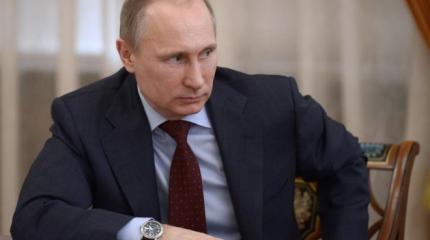 Владимир Путин несоизмеримо выше оппозиции Владимир Путин несоизмеримо выше оппозиции