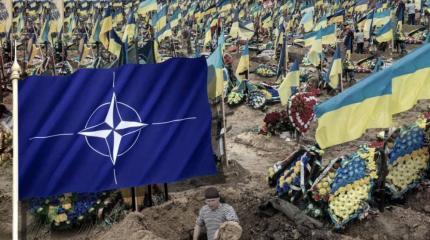 Зеленский шантажирует НАТО или признаёт реальное положение дел?