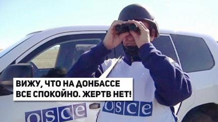 Вся суть ОБСЕ: разоблачение самой бесполезной организации Вся суть ОБСЕ: разоблачение самой бесполезной организации