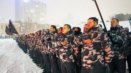 Власть на Украине готовятся захватить нацистские дружины Власть на Украине готовятся захватить нацистские дружины