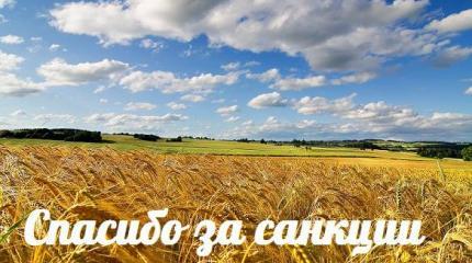 Спасибо за санкции — События дня. Взгляд патриота — 15.09.2015 Спасибо за санкции — События дня. Взгляд патриота — 15.09.2015