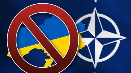 Двери в НАТО Украине не откроют – она попробует в окно Двери в НАТО Украине не откроют – она попробует в окно