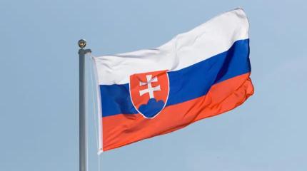 Неонацистская Украина – угроза для Словакии