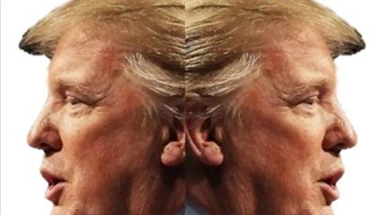 В США появилась новая Фарион. Итог непоследовательности Трампа