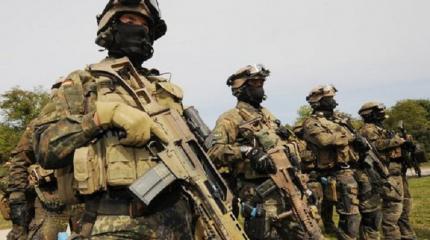 Европейский Союз может создать собственную армию Европейский Союз может создать собственную армию