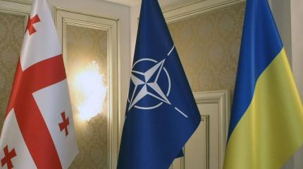 Разочарование Запада: Украина и Грузия – самые ненадежные партнеры НАТО Разочарование Запада: Украина и Грузия – самые ненадежные партнеры НАТО