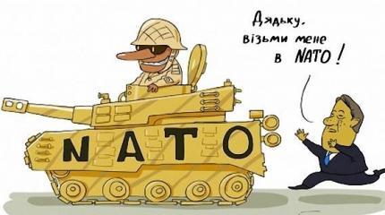 Член НАТО и Украина