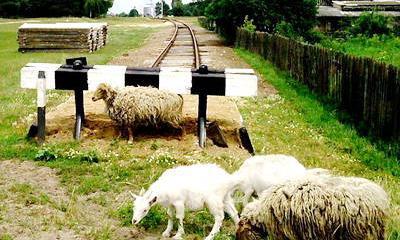 Киев теряет контроль над железными дорогами страны