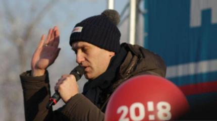 Правозащитница из Европы и штабы Навального проговорились пранкерам о целях