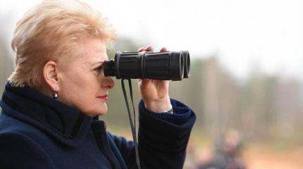 Серфингистка на волнах русофобии: Грибаускайте упускает кресло президента Серфингистка на волнах русофобии: Грибаускайте упускает кресло президента