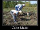 Украина — страна садо-мазохистов