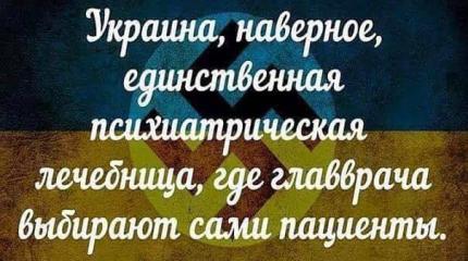 Украина: Вся безумная больница у экрана собралась… Украина: Вся безумная больница у экрана собралась…