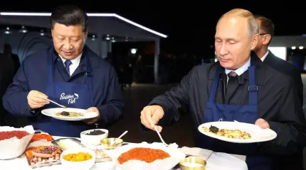 Какие «подводные камни» для России может таить в себе союз с Китаем Какие «подводные камни» для России может таить в себе союз с Китаем