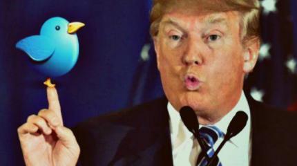 Америка троллит «оранжевого миллиардера» Дональда Трампа Америка троллит «оранжевого миллиардера» Дональда Трампа