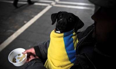 США и Европа грабят Украину, давая Киеву на орехи и кладя себе в карман США и Европа грабят Украину, давая Киеву на орехи и кладя себе в карман