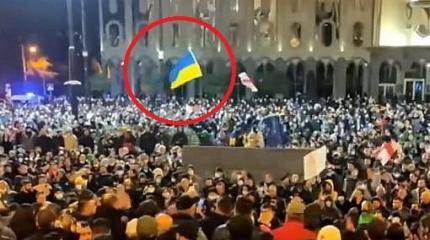 Как украинская «мечта» с сухим счетом победила грузинскую Как украинская «мечта» с сухим счетом победила грузинскую