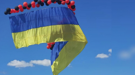 Они пока увлечены лишь имитацией страны