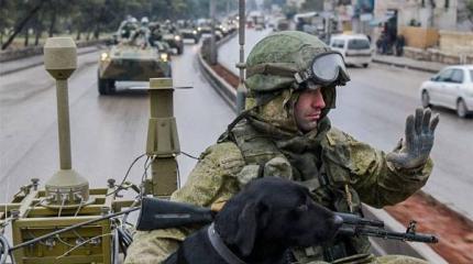 В Германии рассказали, как Запад опозорился в Сирии В Германии рассказали, как Запад опозорился в Сирии