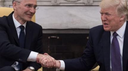 Брюссельские смотрины: Трамп отказался слушать скулёж Порошенко Брюссельские смотрины: Трамп отказался слушать скулёж Порошенко