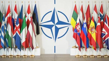 Будущее НАТО: в США представили три пути развития альянса Будущее НАТО: в США представили три пути развития альянса