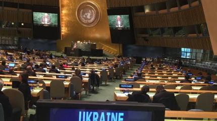 Украина втягивает ООН в информационную войну Украина втягивает ООН в информационную войну