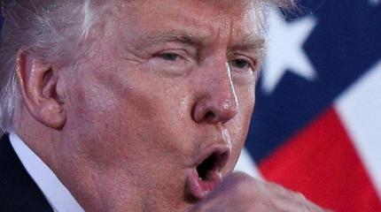 Как Трамп по партитуре Путина развёл восточно-европейских кроликов Как Трамп по партитуре Путина развёл восточно-европейских кроликов