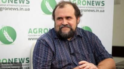Майданные страсти: чужие собаки дерутся, своя не лезь Майданные страсти: чужие собаки дерутся, своя не лезь