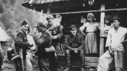 Каялись бандеровские провидныкы. Аж гай шумів (I)