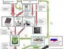 Конец политики: новая мировая смута