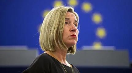 Еврогадюшник разворошили: Могерини задержана, фон дер Ляйен приготовиться