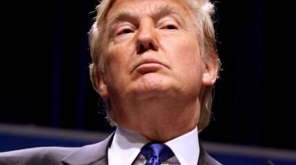 Трамп уговаривал сенаторов не расширять санкции против России Трамп уговаривал сенаторов не расширять санкции против России