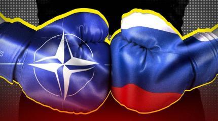 Читатели Die Welt набросились на Бербок после скандальных слов о НАТО и РФ Читатели Die Welt набросились на Бербок после скандальных слов о НАТО и РФ