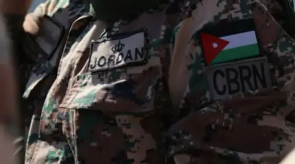 После свержения власти в Сирии ряд арабских стран распереживались о себе После свержения власти в Сирии ряд арабских стран распереживались о себе