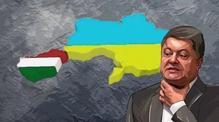Задачка для посла США: помирить украинцев с венграми Задачка для посла США: помирить украинцев с венграми
