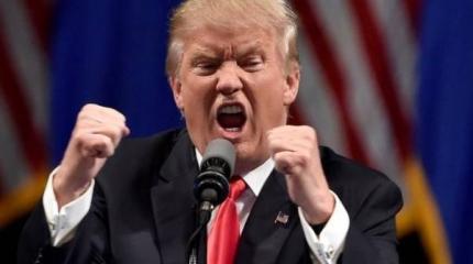 На грани бреда или Очередная глупость Трампа