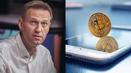 Что будет, когда сайт Навального наберет заветные 500 тысяч Что будет, когда сайт Навального наберет заветные 500 тысяч