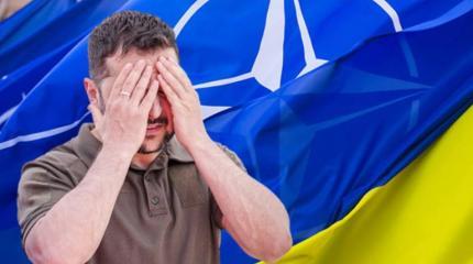 Зеленский пытается взять НАТО измором